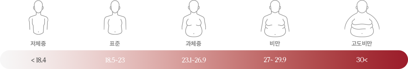 저체중18.4,표준18.5~23,과체중23.1~26.9,비만27~29.9,고도비만30<