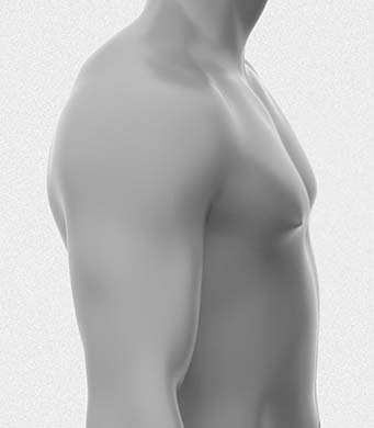 팔뚝지방흡입 팔뚝 이미지